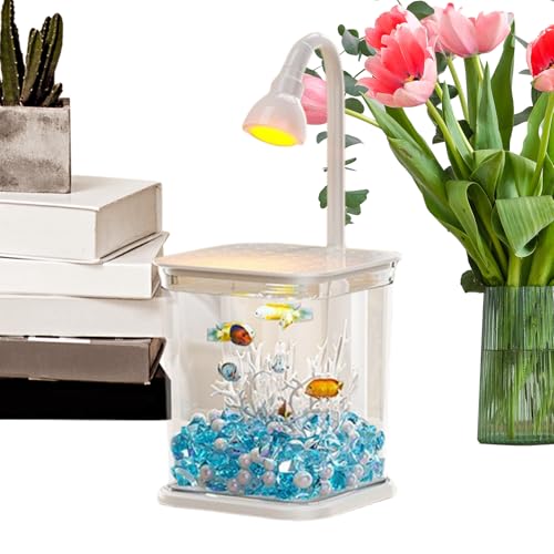 Wezalget Kleines Kampffisch Aquarium - Kompaktes Aquarium - Leise Klarwasser-Landschaft Deko Für Tisch Schreibtisch Home Office Wezalget Kleines Kampffisch Aquarium - Kompaktes Aquarium - Leise Klarwasser-Landschaft Deko Für Tisch Schreibtisch Home Office von Wezalget