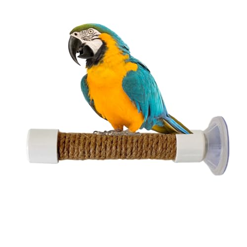 Wezalget Saugnapf Vogel Sitzstange, Wandhalterung für Wellensittiche, Tragbare Sitzstange für Ara Wellensittich Fenster Spiegel Auto Bad Wezalget Saugnapf Vogel Sitzstange, Wandhalterung für Wellensittiche, Tragbare Sitzstange für Ara Wellensittich Fenster Spiegel Auto Bad von Wezalget