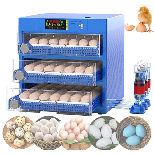 120-192 Egg Incubator, Automatic Incubator with Automatic Egg Turning and Temperature /Humidity Control, Automatic Water Addition, Dual Power Supply, for Hatching Chicken, Duck, and Goose,176eggs 120-192 Egg Incubator, Automatic Incubator with Automatic Egg Turning and Temperature /Humidity Control, Automatic Water Addition, Dual Power Supply, for Hatching Chicken, Duck, and Goose,176eggs von WhFKLca