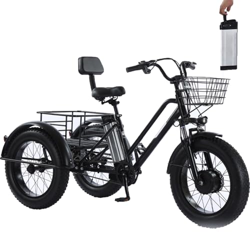 Electric Tricycle for Adults - Load 200Kg, Adult 3-Wheel Electric Trike, 20'' Fat Tire Off Road Tricycles,Shopping Basket (20''x9''x12''), 48V/12Ah Removable Battery, Range 35km, for Shopping, Picnic von WhFKLca