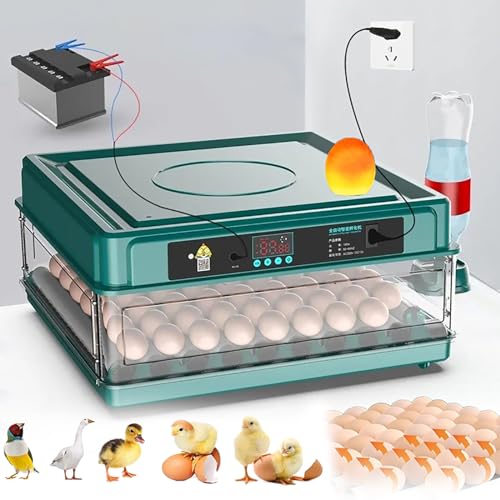 WhFKLca Egg Hatching Incubator, Automatic Egg Turning + Automatic Water Addition + Temperature Control,for Chicken Goose Bird Quail Incubation Equipment Hatchery Poultry Tool,Dual Power Supply,30eggs WhFKLca Egg Hatching Incubator, Automatic Egg Turning + Automatic Water Addition + Temperature Control,for Chicken Goose Bird Quail Incubation Equipment Hatchery Poultry Tool,Dual Power Supply,30eggs von WhFKLca