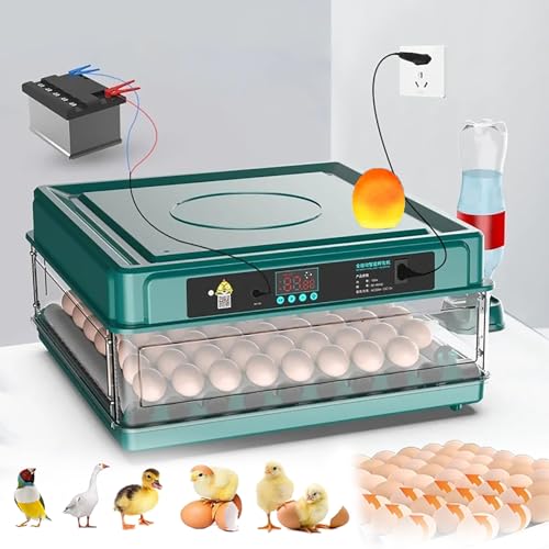 WhFKLca Egg Hatching Incubator, Automatic Egg Turning + Automatic Water Addition + Temperature Control,for Chicken Goose Bird Quail Incubation Equipment Hatchery Poultry Tool,Dual Power Supply,56eggs WhFKLca Egg Hatching Incubator, Automatic Egg Turning + Automatic Water Addition + Temperature Control,for Chicken Goose Bird Quail Incubation Equipment Hatchery Poultry Tool,Dual Power Supply,56eggs von WhFKLca