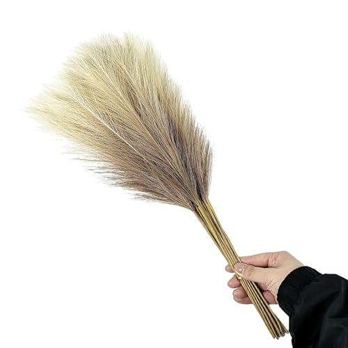 Whakano 20 Stück Boho Künstliches Pampasgras,Künstliche Pflanzen,Pampasgras Deko,für Schlafzimmer Deko,Wohnzimmer,Hochzeitsdekoration,Party,Tischdeko,Fotografieren Schießen,CremegelbBeigebraun Whakano 20 Stück Boho Künstliches Pampasgras,Künstliche Pflanzen,Pampasgras Deko,für Schlafzimmer Deko,Wohnzimmer,Hochzeitsdekoration,Party,Tischdeko,Fotografieren Schießen,CremegelbBeigebraun von Whakano