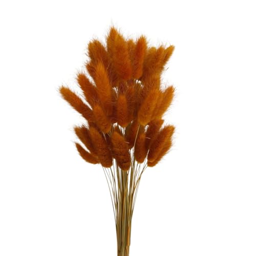 Whakano 50 Pcs Getrocknetes Pampasgras,Natürliche Trockenblumen Blumenstrauß Deko,Boho Tischdeko,Wiederverwendbar für Hochzeit Hause Party Büro Fotografie Wohnzimmer Vase Deko,Dunkelorange von Whakano