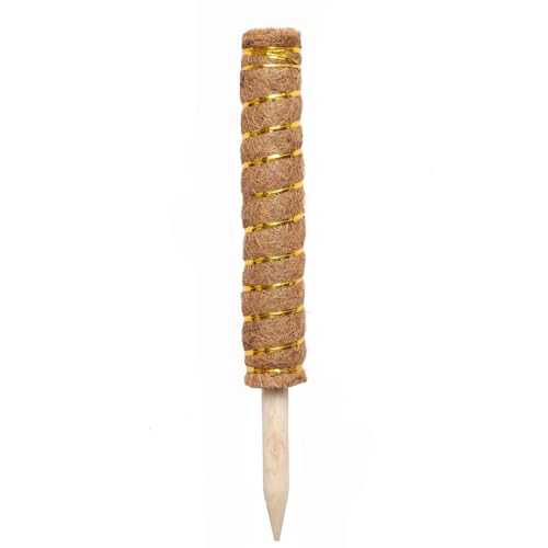Whakano Pflanzstab,Monstera Rankhilfe Kokos Pflanzenstütze,Stab KletterpflanzenPflanzenstütze zur Unterstützung von Zimmerpflanzen für Garten Kletterpflanzen ZimmerpflanzenGold Line Buche,60cm von Whakano