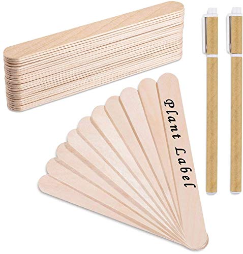 Whaline 100Stk Holz Pflanzenschilder Pflanzenstecker Popsicle Sticks Holzstäbchen Natürliche Craft Sticks Etikette für Handwerk DIY Dessert Machen Garten Pflanzen mit 2 Marker Stiften (15 cm) von Whaline