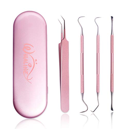 Whaline Präzision DIY Bastelwerkzeug Plotter Basiswerkzeuge Set, 4 Stück Edelstahl Präzision mit Etui,Vinyl Basic Tool für Selbstklebende Folie Silhouette Cameos Beschriftung(Rosegold) von Whaline