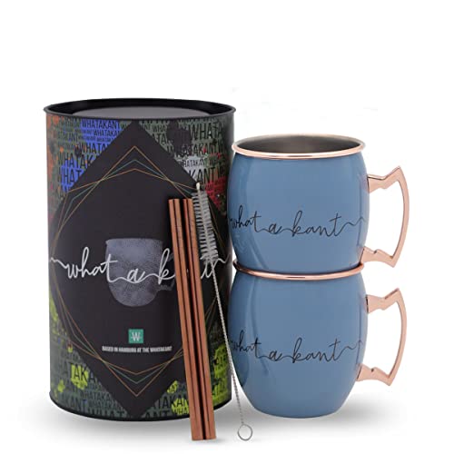 Whatakant - Moscow Mule Becher Set | 2er Großschot in Blau | 550 ml nachhaltige Kupferbecher und gerade Kupferstrohhalme in Geschenkverpackung | wiederverwendbares plastikfreies Bar Cocktail Set von Whatakant