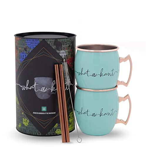 Whatakant - Moscow Mule Becher Set - 2er Großschot in Türkis - 550 ml nachhaltige Kupferbecher und gerade Kupferstrohhalme in Geschenkverpackung - wiederverwendbares plastikfreies Bar Cocktail Set von Whatakant