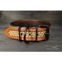 Personalisiertes Lederhalsband // Mit Namen Personalisiertes Hundehalsband Aus Leder Halsband Mit Lederhalsband Ezra von WheatLeather