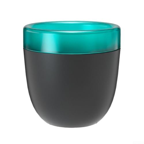Automatischer selbstbewässernder Blumentopf mit Wasserspeicher, perfekt für vielbeschäftigte Personen zu Hause und im Büro (schwarz) von WheatThrive