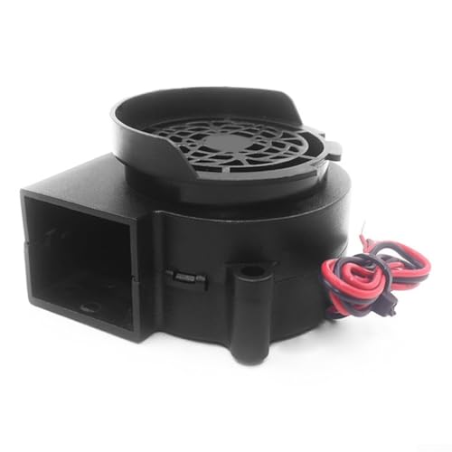 Ersatz-Luftgebläse, bürstenloses DC-Gebläse, kompaktes Modell, Inflator-Pumpe für Ferienzeiten, 56 x 58 x 40 mm (6 V) von WheatThrive