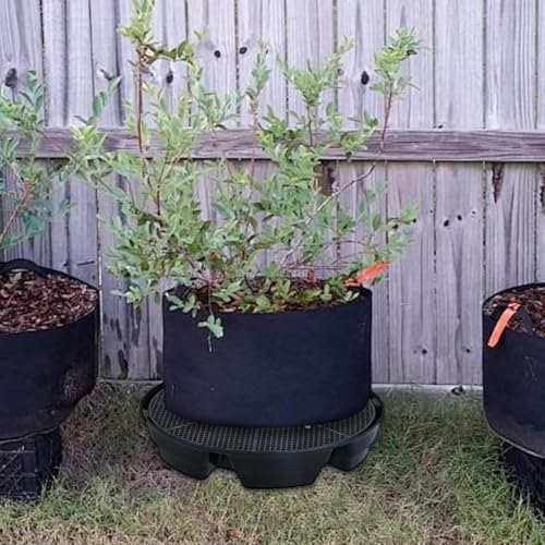 Selbstbewässernde Pflanzentropfschale, 2,8 l Drainageverhinderung, automatische Blumentopf-Tropfschalen, selbstbewässernde Pflanzen-Untersetzer für den Innenbereich von WheatThrive