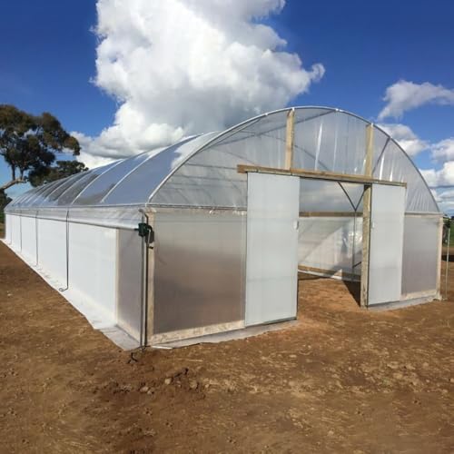 Widerstandsfähige Gewächshaus-Kunststoffabdeckung zur Steigerung des Ertrags und zum Schutz Ihrer Pflanzen (3 m x 10 m) von WheatThrive
