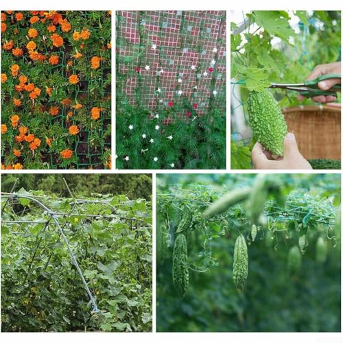 Wiederverwendbares Ranknetz für besseren Ernteerfolg, geeignet für Gewächshaus und Garten Wiederverwendbares Ranknetz für besseren Ernteerfolg, geeignet für Gewächshaus und Garten von WheatThrive