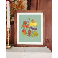 Tomate Kunstdruck Mid-Century Modern Kitchen Tomate Kunstdruck Mid-Century Modern Kitchen von WhistlinDingoDesign