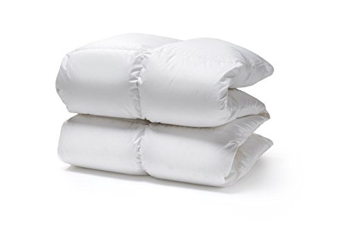 White Cloudz KAPRUN Daunendecke 135x200 cm Wärmeklasse 4 – Extra warme Bettdecke mit 90% Europäische Gänsedaunen – 800g, hochwertiger Bezug aus 100% Mako Baumwolle, besonders weich & flauschig White Cloudz KAPRUN Daunendecke 135x200 cm Wärmeklasse 4 – Extra warme Bettdecke mit 90% Europäische Gänsedaunen – 800g, hochwertiger Bezug aus 100% Mako Baumwolle, besonders weich & flauschig von White Cloudz