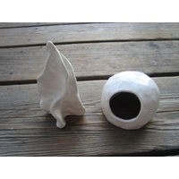 Keramik Aquarium Dekor Made To Order - Betta Fisch Versteck Tarantel Kleine Dekorationen Reptilienhöhle Krötenhaus Keramik Aquarium Dekor Made To Order - Betta Fisch Versteck Tarantel Kleine Dekorationen Reptilienhöhle Krötenhaus von WhiteCitrus