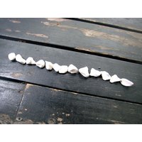 Set Von 100 Handgeformten Terrariensteinen - Funktionieren Ähnlich Wie Kies Set Von 100 Handgeformten Terrariensteinen - Funktionieren Ähnlich Wie Kies von WhiteCitrus