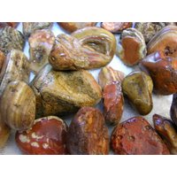 Achat Geoden Rau 1-2, 7 Zoll Kleiner Mehrfarbiger Schmuck Größe 1 Pfund Viel von WhiteRinoGems