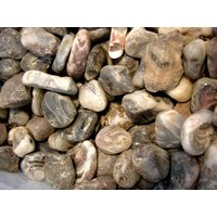 Botswana Achat Mine Rohsteine 1 Bis 2, 25 Zoll Und Pfund von WhiteRinoGems