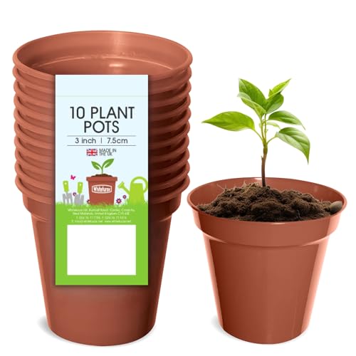 Whitefurze Garten-Blumentopf, plastik, terracotta, 7.5cm Garden Pot (Set of 10) von Whitefurze