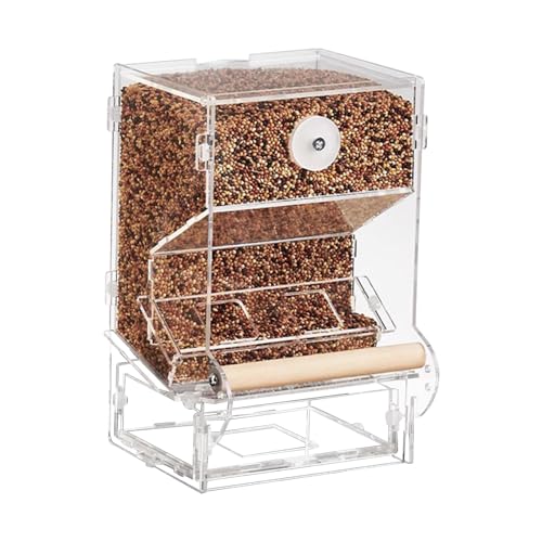 Automatische Vogelfutterstation – automatisches Futterhaus für Vögel, transparentes Vogelfutterhaus ohne Auseinanderfallen | Futterwerkzeug für Vögel im innovativen neigbaren Design von Whnbuij