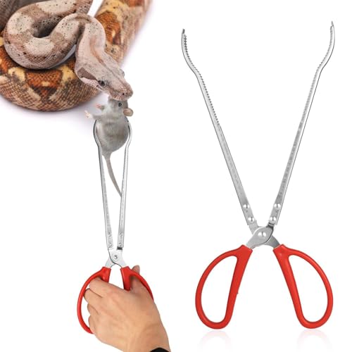 Futterzange für Reptilien aus Edelstahl – große, rutschfeste Pinzetten, extra lang, 38,1 cm (15 Zoll) | Werkzeug zum Halten von Würmern, Pinzetten für Reptilien und Schlangen, A von Whnbuij