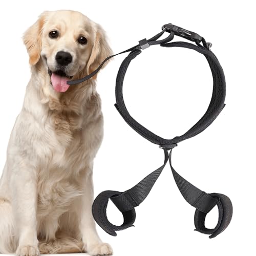 Hüfthalterung für Hunde – Lifting-Hilfe zur Korrektur von Haustieren | Dysplasie-Schlinge mit atmungsaktivem Gurt, Zubehör für Tiere Hüfthalterung für Hunde – Lifting-Hilfe zur Korrektur von Haustieren | Dysplasie-Schlinge mit atmungsaktivem Gurt, Zubehör für Tiere von Whnbuij