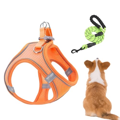 Hundegeschirr Mit Leinen,Reflektierendes Anti-Würge-Pet-Vest-Geschirr - Atmungsaktives Ausbruchssicheres Geschirr Für Welpen Kätzchen Wanderungen Tierarzt Camping Training von Whnbuij