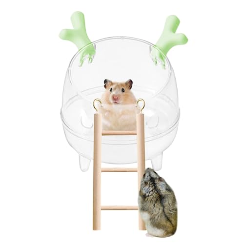 Sandbehälter für Hamsterkäfig, staubdichte Hamsterbadbox | Hamster-Sandbadschale für Haustiere, transparent, mit Leiter | Haustierkäfigzubehör von Whnbuij
