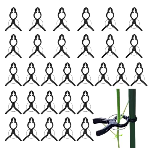 Schraubclips, Clips für Rankgitter, Kletterpflanzen, 30 x Trellis Filating Klemmen | Gartenklammer für vertikales Wachstum für Gurken aus Traubengrün von Whnbuij