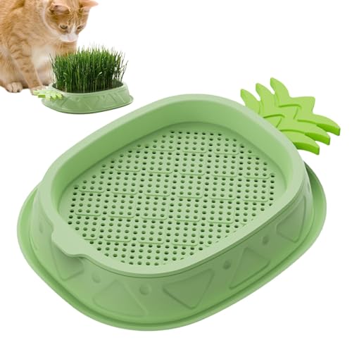 Whnbuij Katzengrasschale | Haushaltskatzengraskasten | Ananas-Design Sämling- & Keimschalen | Weizengras- | Erd-, Kindergarten-Katzenpflanze für Indoor-Katzen von Whnbuij