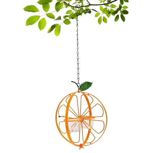 Whnbuij Oriole Feeder Outdoor – Outdoor Spatzen Wasserfutterbecher | Wetterfest, Vogelfutterbehälter für Rotkehlchen, Spatzen und Küken von Whnbuij