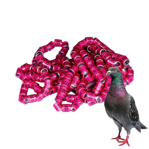 Whnbuij Ringe zur Identifizierung von Tauben – 50 Stück sicheres Vogelhaus-Zubehör | Generik-Taubenbänder Bird Foot Rings Pegeon Zubehör für Raching Parrot Chicks Duck von Whnbuij