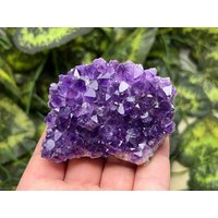 Amethyst Rohstufe Stufe A Dunkellila Aus Uruguay Druzyst Kristall von WholesaleMineralsBox