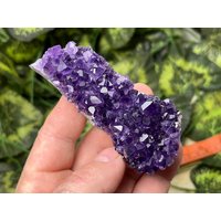 Amethyst Rohstufe Stufe A Dunkellila Aus Uruguay Druzyst Kristall von WholesaleMineralsBox