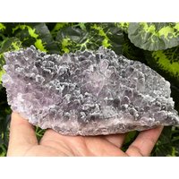 Ametist Madan - Bulgarien Naturkristalle, Mineralien, Exemplare, Cluster, Andenken von WholesaleMineralsBox