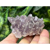 Ametist Madan - Bulgarien Naturkristalle, Mineralien, Exemplare, Cluster, Andenken von WholesaleMineralsBox