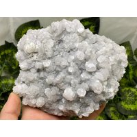 Calcit | 2 Generationen Madan - Bulgarien Naturkristalle, Mineralien, Exemplare, Cluster, Mitbringsel von WholesaleMineralsBox