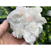 Calcit Fluoreszierend Madan - Bulgarien Naturkristalle, Mineralien, Exemplare, Cluster, Mitbringsel von WholesaleMineralsBox