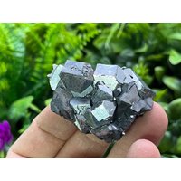 Galena Madan - Bulgarien Natürliche Kristalle, Mineralien, Exemplare, Cluster, Souvenirs von WholesaleMineralsBox
