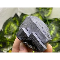 Galena | Morphogologie Madan - Bulgarien Naturkristalle, Mineralien, Exemplare, Cluster, Mitbringsel von WholesaleMineralsBox