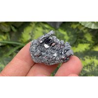 Galena | Morphogologie Madan - Bulgarien Naturkristalle, Mineralien, Exemplare, Cluster, Mitbringsel von WholesaleMineralsBox