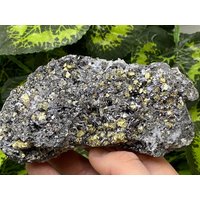 Galena Quarz Pyrit Madan - Bulgarien Naturkristalle, Mineralien, Exemplare, Cluster, Mitbringsel von WholesaleMineralsBox