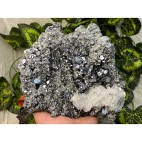 Galena Sphalerit Calcit Quarz Madan Bulgarien Natürliche Kristall Mineralien Andenken von WholesaleMineralsBox