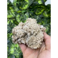 Madan - Bulgarien Naturkristalle, Mineralien, Exemplare, Cluster, Souvenirs von WholesaleMineralsBox