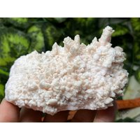 Manganocalcit Madan - Bulgarien Naturkristalle, Mineralien, Exemplare, Cluster, Mitbringsel von WholesaleMineralsBox