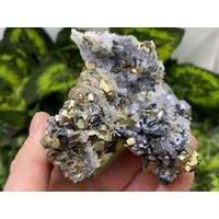 Pyrit, Galena, Quarz Madan - Bulgarien Naturkristalle, Mineralien, Exemplare, Cluster, Mitbringsel von WholesaleMineralsBox