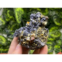 Pyrit, Galena, Quarz Madan - Bulgarien Naturkristalle, Mineralien, Exemplare, Cluster, Mitbringsel von WholesaleMineralsBox